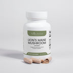 Lion's Mane Mushroom