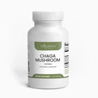 Chaga Mushroom