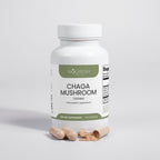 Chaga Mushroom